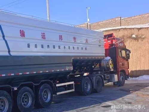 2025年国内散料运输厂家口碑排行榜揭晓 配送运输服务成关键焦点